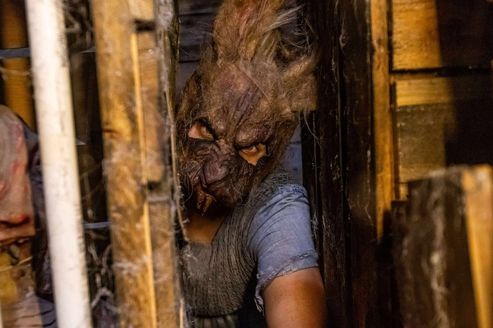 Nightmare on Edgewood 2025 Attractions - Conley Farm Rabbit