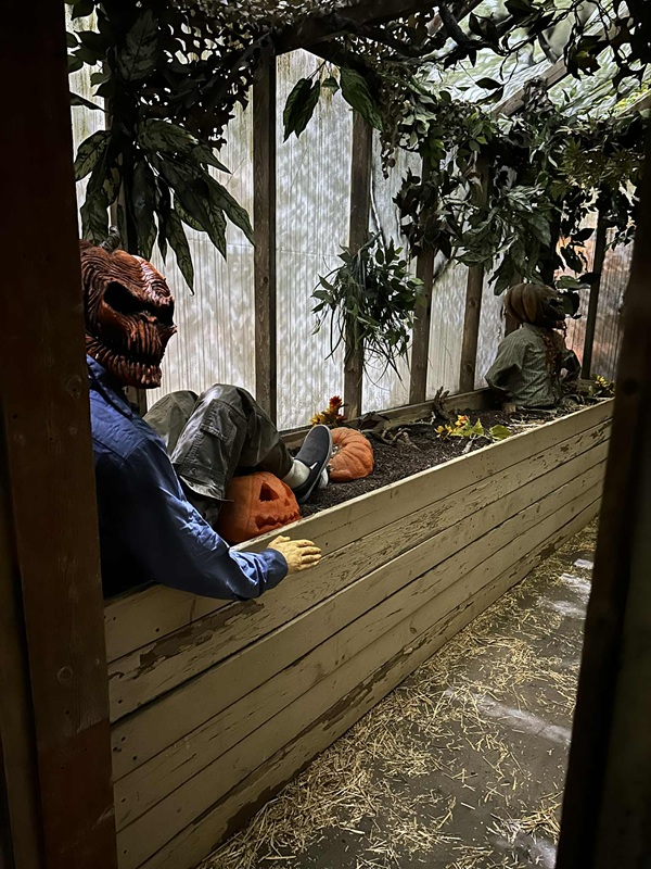 Nightmare on Edgewood  pumpkin